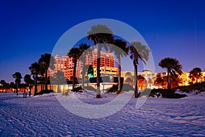 Palm trees on the beach at night in Clearwater Beach, Florida.