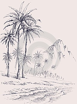 Palm trees on the beach, sea shore sketch