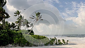 Palm trees blowing in the wind. The beautiful white beach and ocean. The sky with white puffy clouds