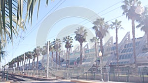 Palm trees and blue summer sky, California USA. Palmtrees leaves, row of palms.