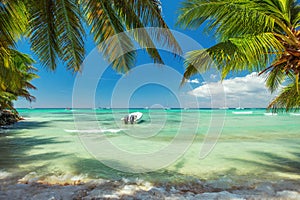 Palm trees and a boat on luxury exotic carribean beach