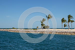 palm trees on a breakwall on a tropical island photo