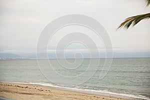 Palm trees in Bucerias, Nayarit, Mexico