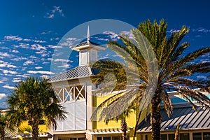 Palm trees and building in Vilano Beach, Florida. photo