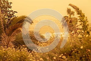 Palm trees and buildings on the beach of canarian island. Calima sand wind with dust from Africa. Calima sandstorm on