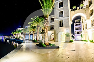 Palm trees and the buildings in the night lights in Marina Porto