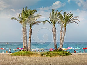 Palm trees on a busy beach of holidaymakers at La Herradura,  AlmuÃÂ±ecar. Granada province, Andalusia Southern Spain photo