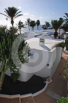 Palm trees & Cactus cacti with white wash building probably hotel & sea ocean water horizon at Puerto Del Carmen, Lanzarote, Spain