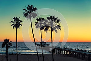 Palm trees at California Beach. Vintage processed.