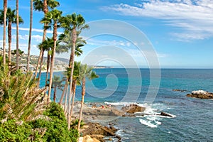 Palm Trees on California Coast