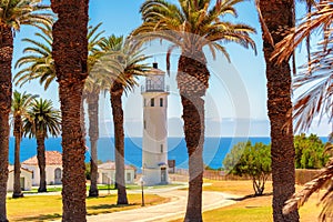 Palm trees on California coast, Point Vicente Lighthouse