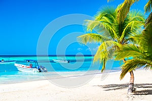 Palm trees on the caribbean tropical beach with boats and turquoise sea. Saona Island, Dominican Republic. Vacation travel