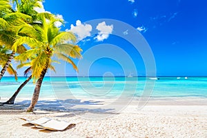 Palm trees on the caribbean tropical beach. Saona Island, Dominican Republic. Vacation travel background