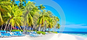Palm trees on the caribbean tropical beach, Saona Island. Dominican Republic. Vacation travel background
