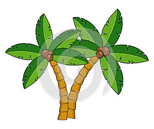 Palm trees cartoon illustration.Two curved coco palm isolated on white. Design element for summertime leaflet or advert. Exotic photo