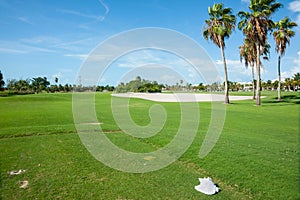 Palm trees cast shadow over golf course fairway with sand bunker