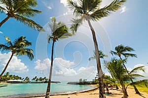 Palm trees and clear water in bas du Fort beach in Guadeloupe