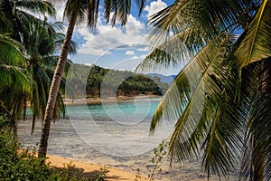 Palm trees on Coconut Beach in Port Barton, Palawan, Philippines