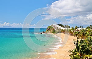 Palm trees and Condominiums along the beach