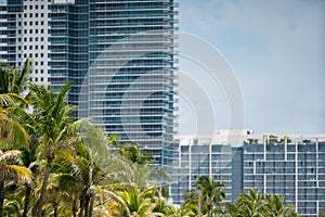 Palm trees and condos in Miami shot with a telephoto lens