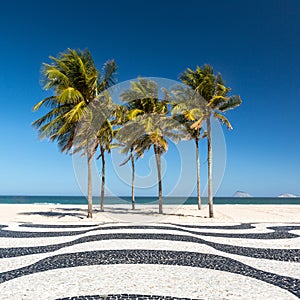 Palm trees on Copacabana beach photo