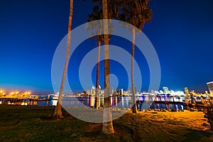 Palm trees in Coronado island