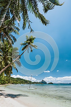 Palm trees of Corong Corong beach with traditional boats and blue sky in El Nido, Palawan island, Philippines. Vertical view