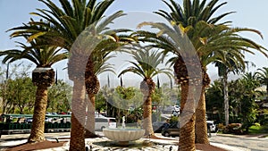 Famous tropical gardens