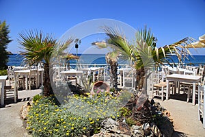 Palm trees and flowers at outdoor greek cafe terrace, Crete, Greece