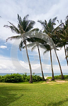 Palm trees frame the ocean near Poipu