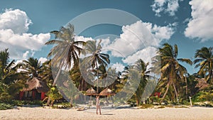 Palm trees and the girl on Candaraman island in Balabac