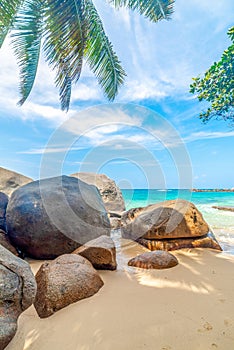 Palm trees and granite rocks in Glacis Beach