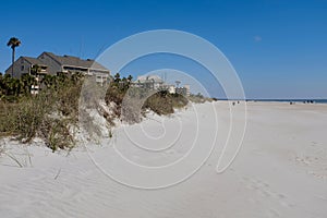 Palm Trees, Grass and Condominiums on Sandy Beach