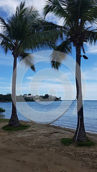 Palm trees, hammock, and boat in water and beach in Guanica, Puerto Rico