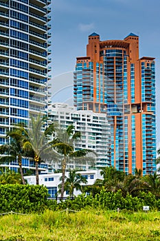 Palm trees and highrises in South Beach, Miami, Florida.