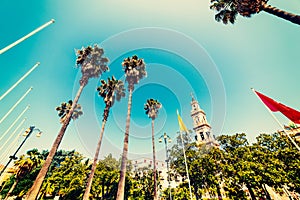 Palm trees and Holy Mary cathedral in Bartolo Longo square in Pompei photo