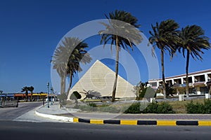 Palm trees on the Hurghada-Egypt 369