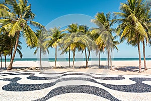 Palm trees and the iconic Copacabana beach mosaic sidewalk photo