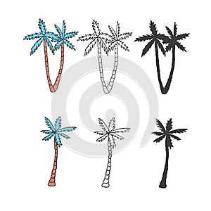 Palm trees icons set