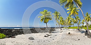 Palm trees on an idyllic beach on Big Island, Hawaii