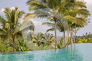 Palm trees and an infinity pool