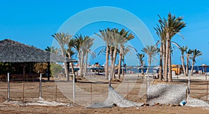 Palm trees in the interior of the hotel in Marsa Alama, Egypt photo