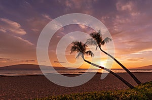 Palm Trees in a Kaanapali Beach Sunset Maui