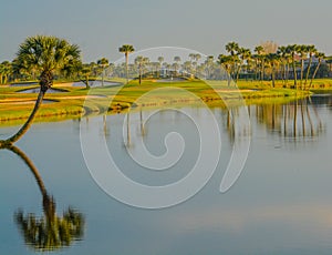 Palm trees on Lake Vedra. Ponte Vedra Beach, Florida