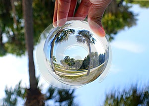 Palm trees and landscape captured through a lens ball near Fort Desoto Park, St Petersburg, Florida, U.S.A