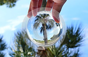 Palm trees and landscape captured through a lens ball near Fort Desoto Park, St Petersburg, Florida, U.S.A