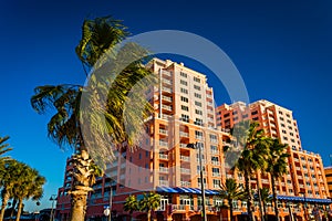 Palm trees and large hotel in Clearwater Beach, Florida.