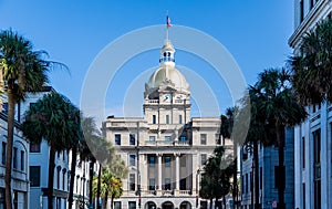 Palm Trees Leading to Savannah City Hall