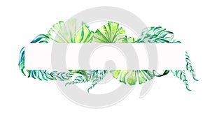 Palm trees, leaves frame watercolor illustration on white