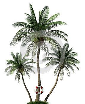 Palm trees and life buoy